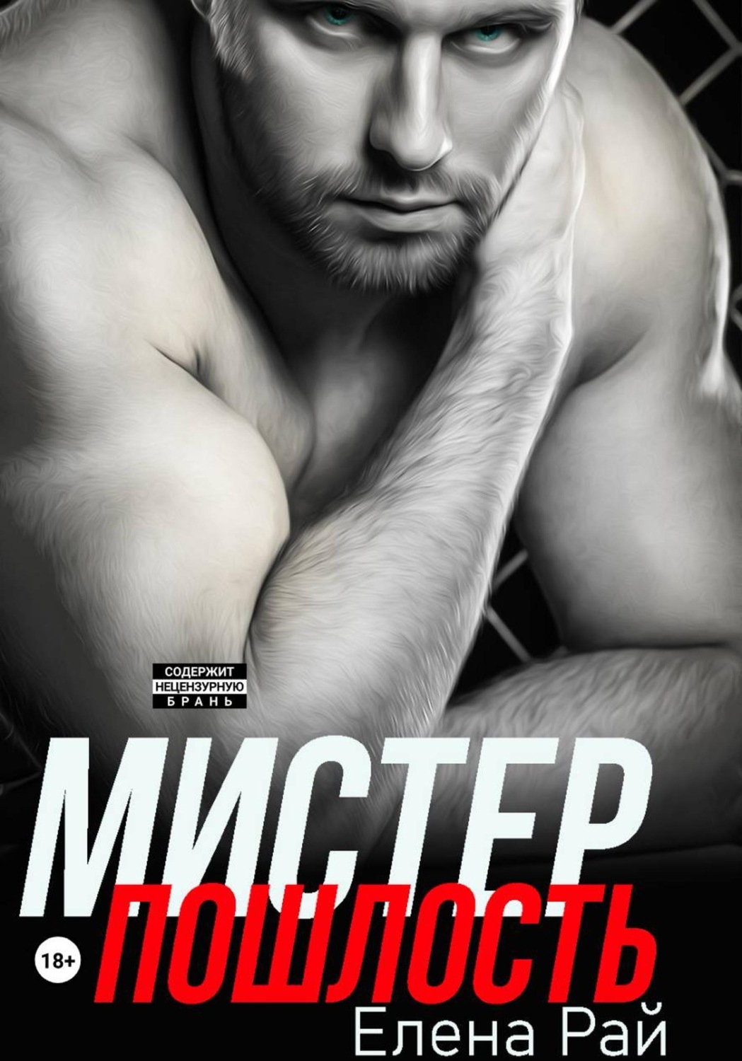 Обложка книги «Мистер Пошлость»