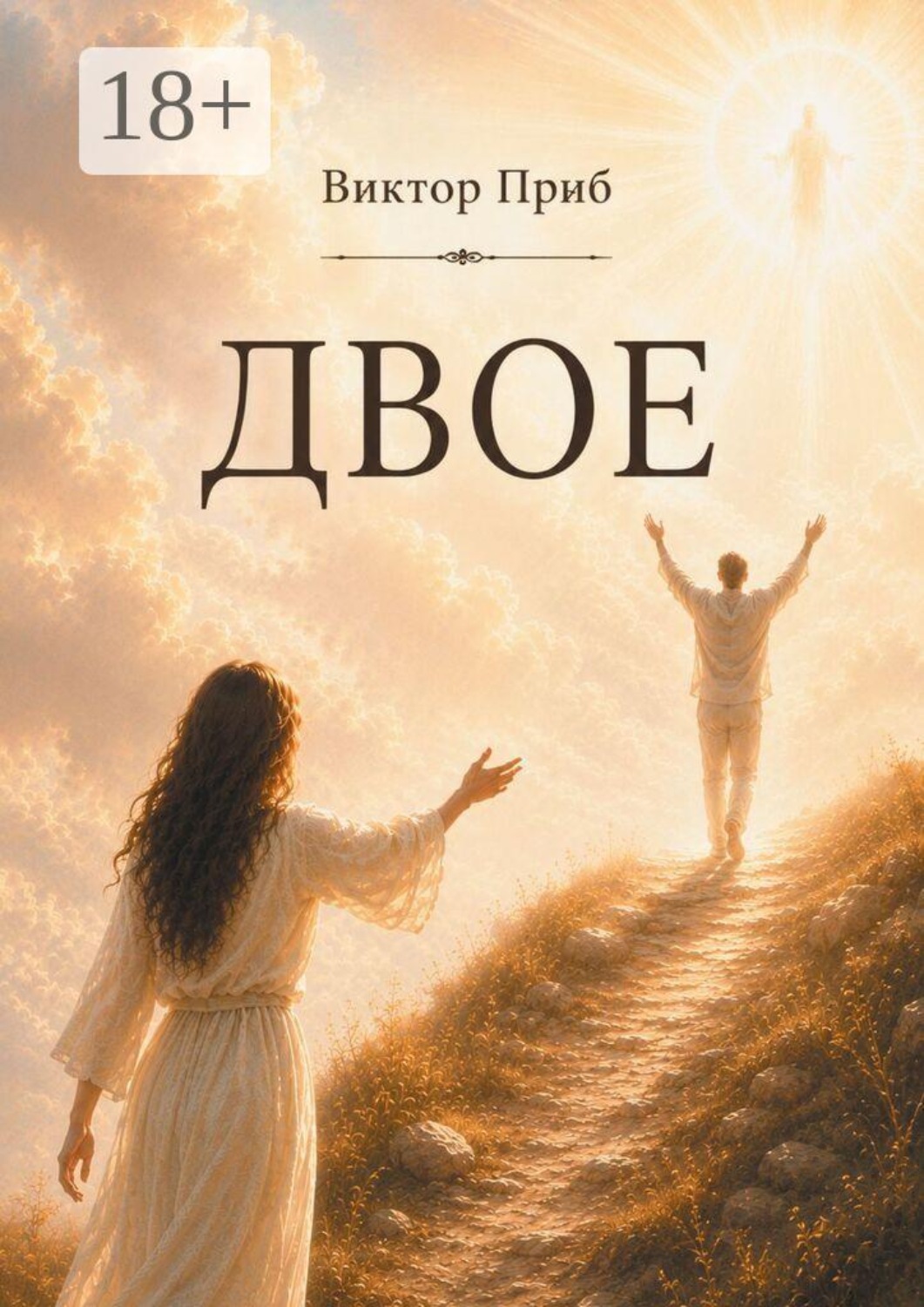 Обложка книги «Двое»