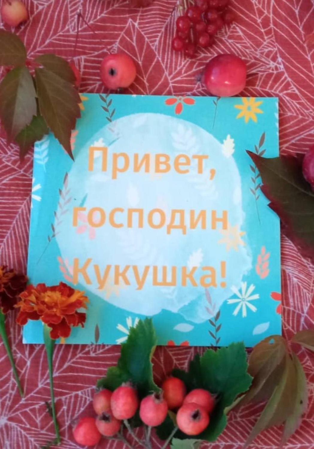 Обложка книги «Привет, господин Кукушка»