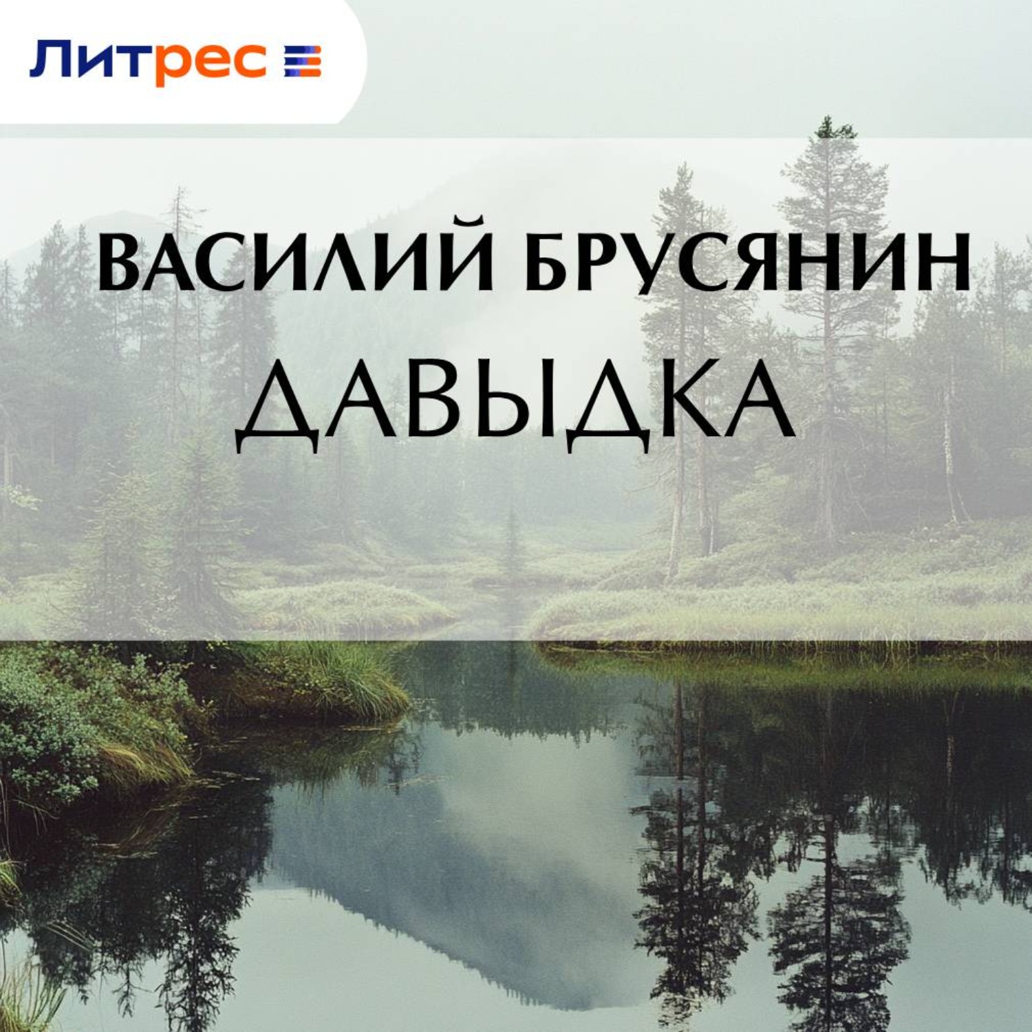 Обложка книги «Давыдка»