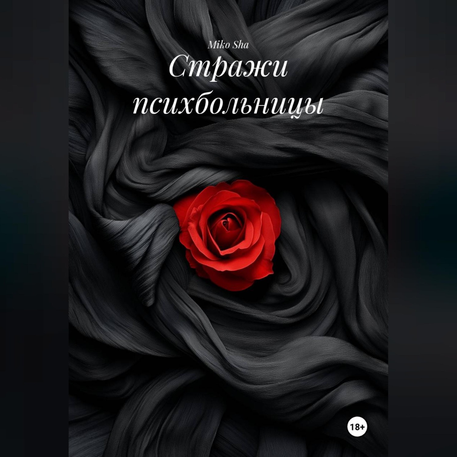 Обложка книги «Стражи психбольницы»
