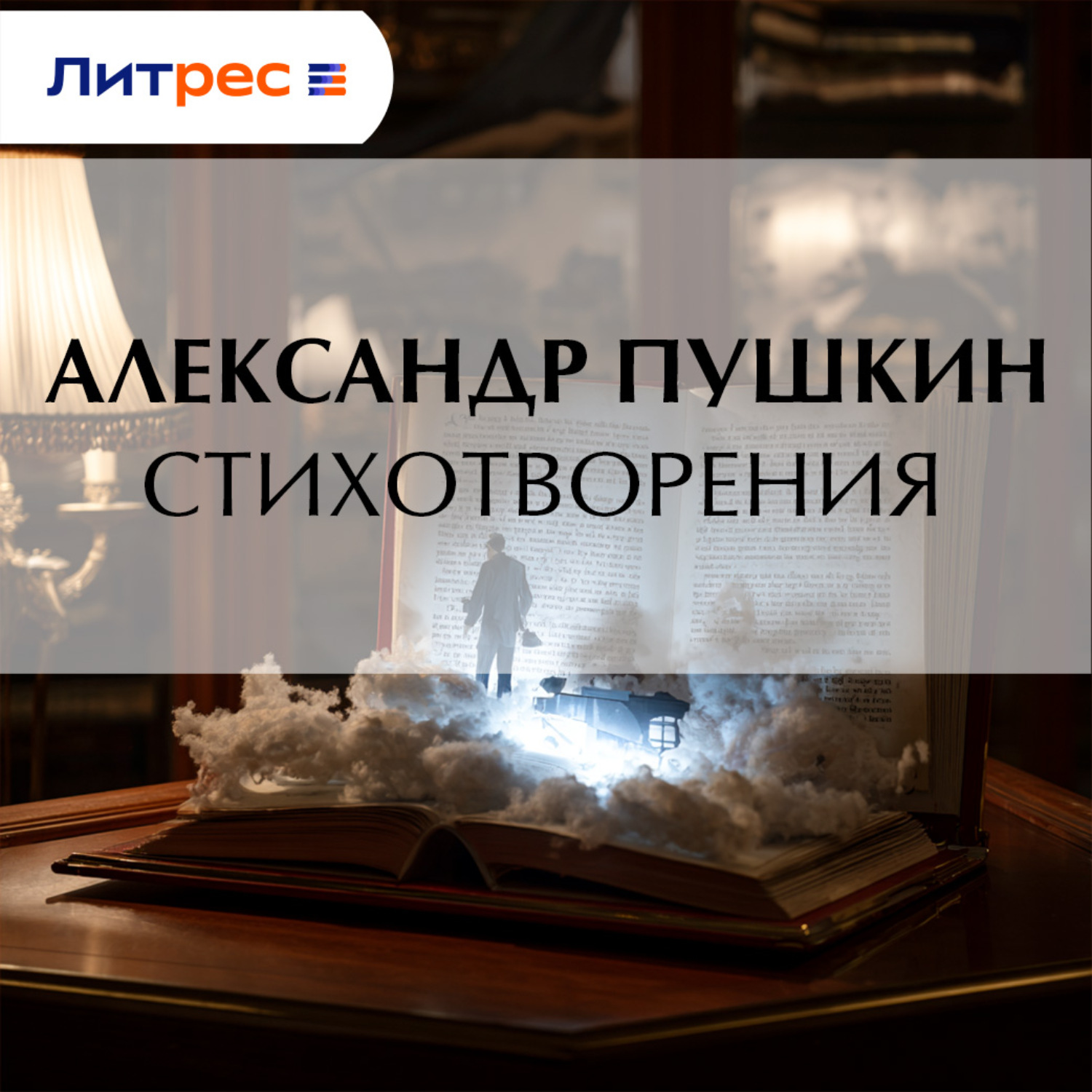 Обложка книги «Стихотворения»