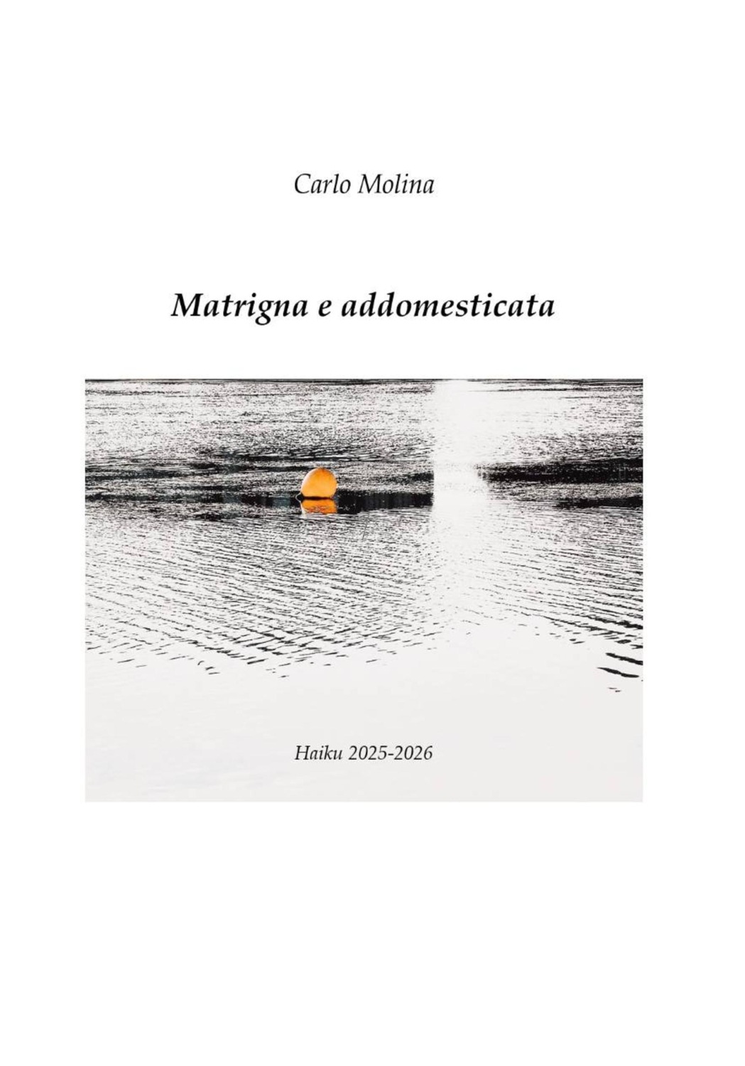 Обложка книги «Matrigna e addomesticata»