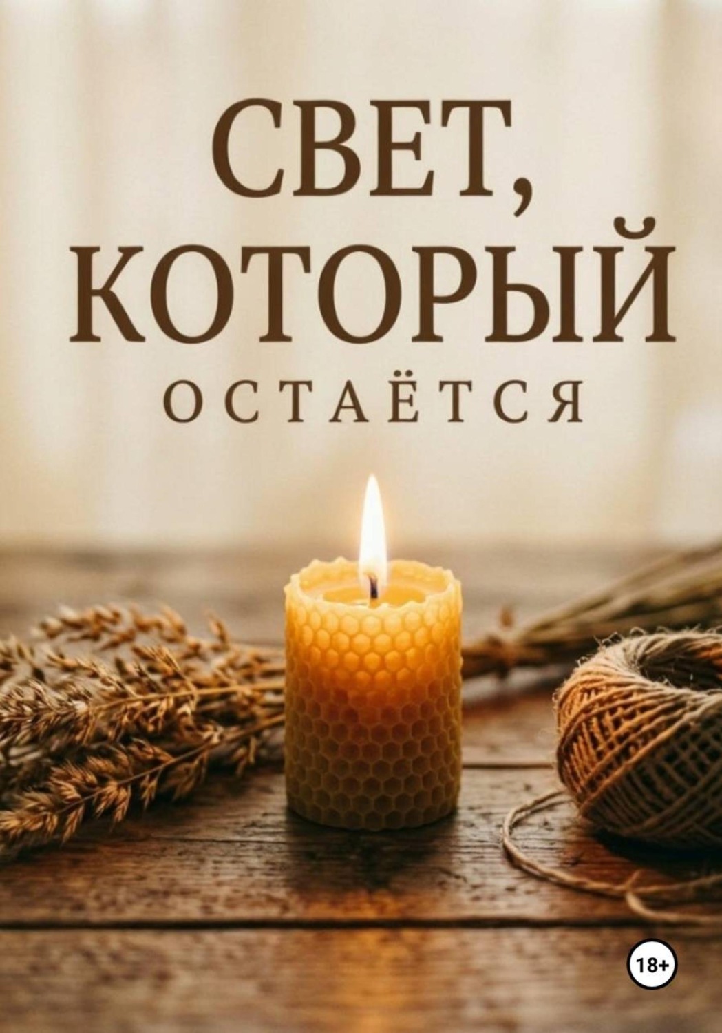 Обложка книги «Свет, который остаётся»