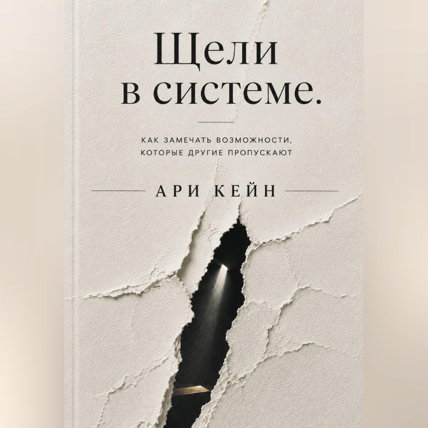 Обложка книги «Щели в системе. Как замечать возможности, которые другие пропускают»