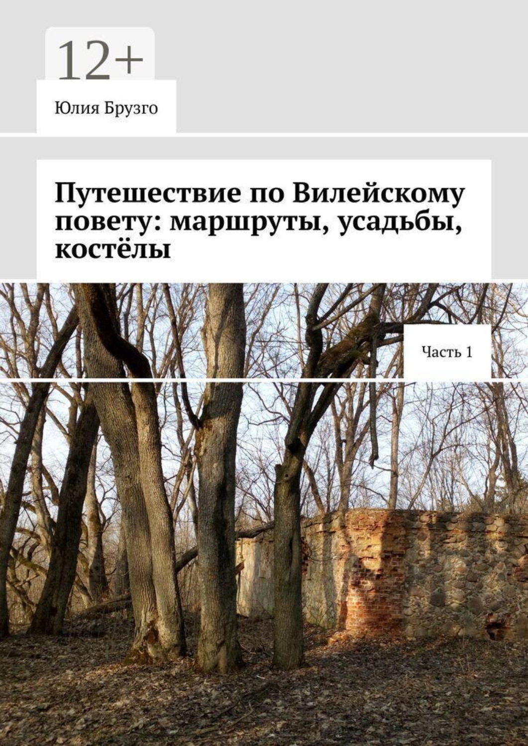 Обложка книги «Путешествие по Вилейскому повету: маршруты, усадьбы, костёлы. Часть 1»