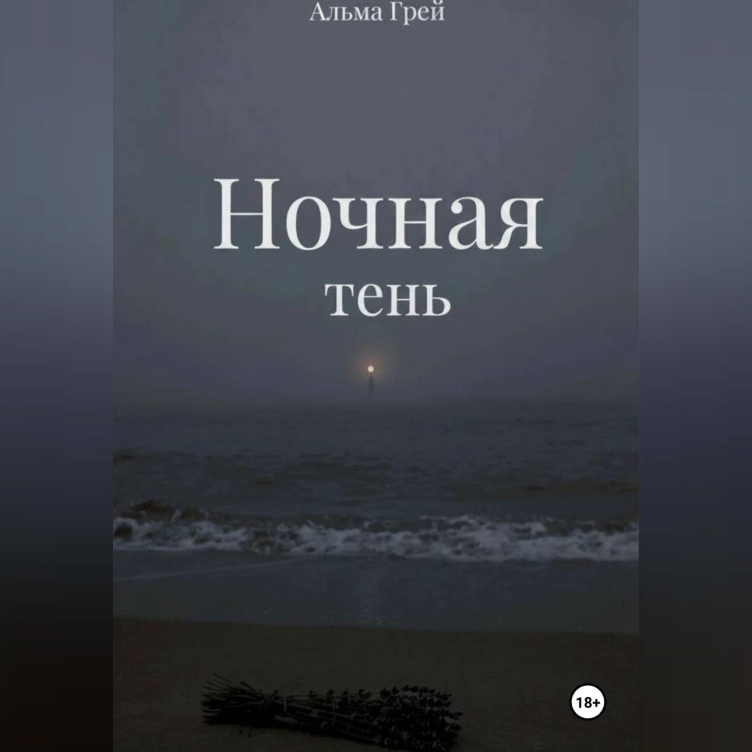 Обложка книги «Ночная тень»