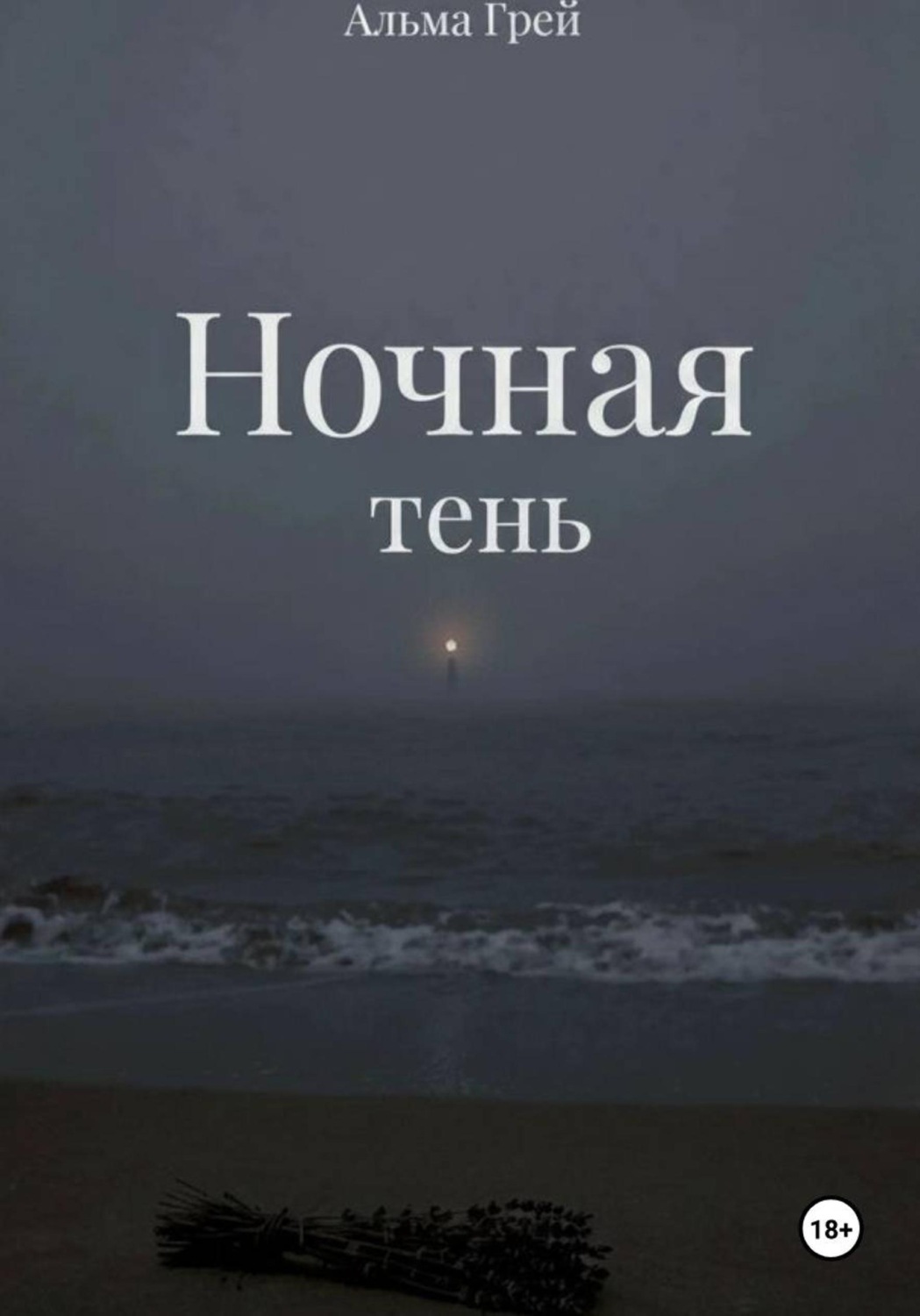 Обложка книги «Ночная тень»