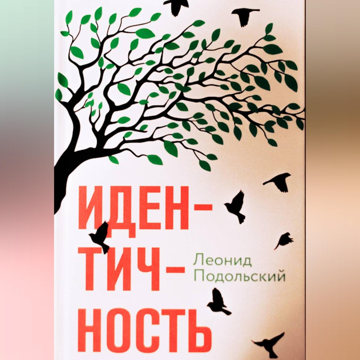 Обложка книги «Идентичность»