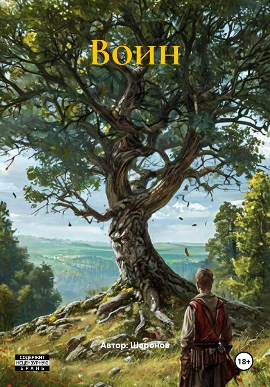 Обложка книги «Воин»