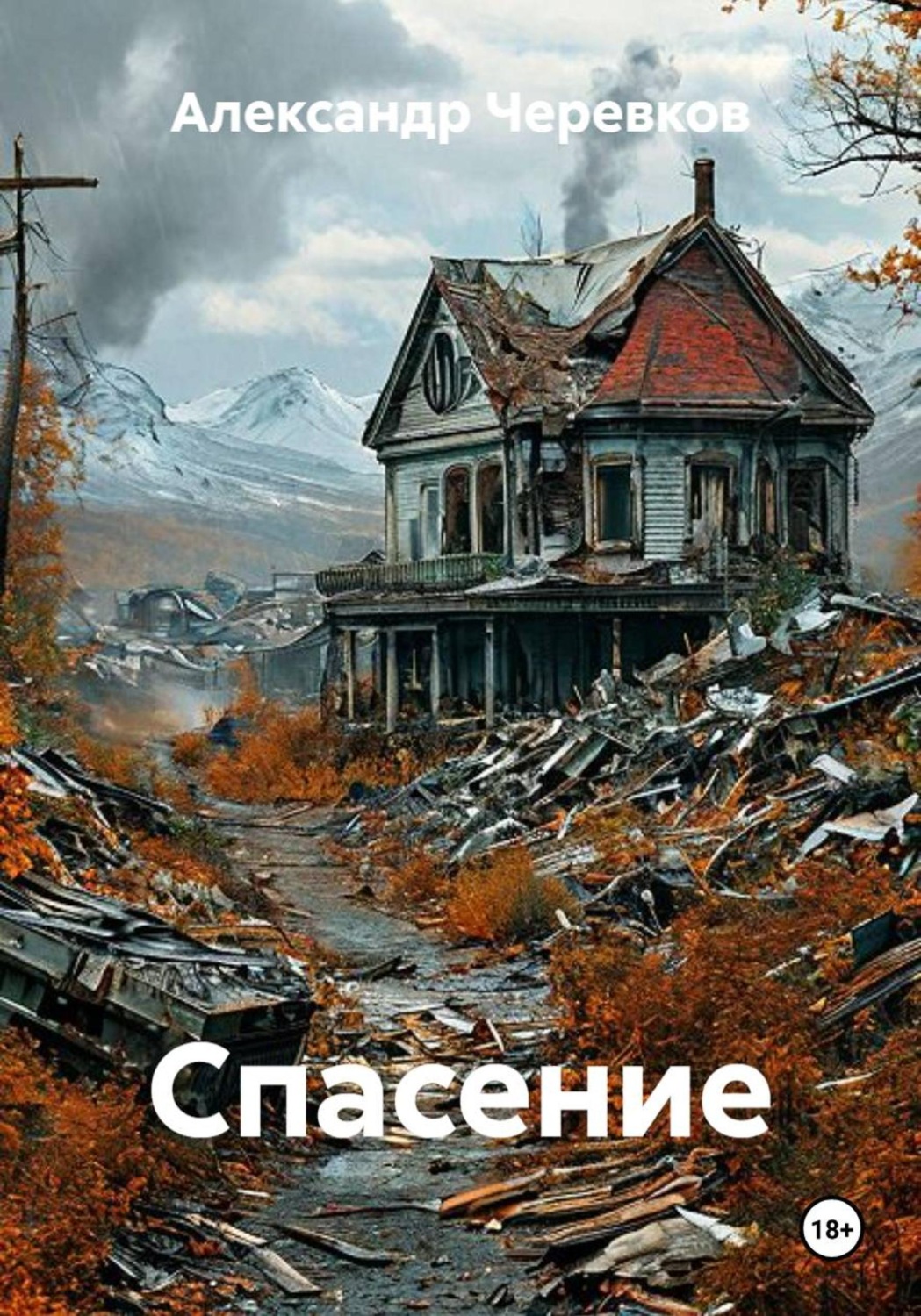 Обложка книги «Спасение»