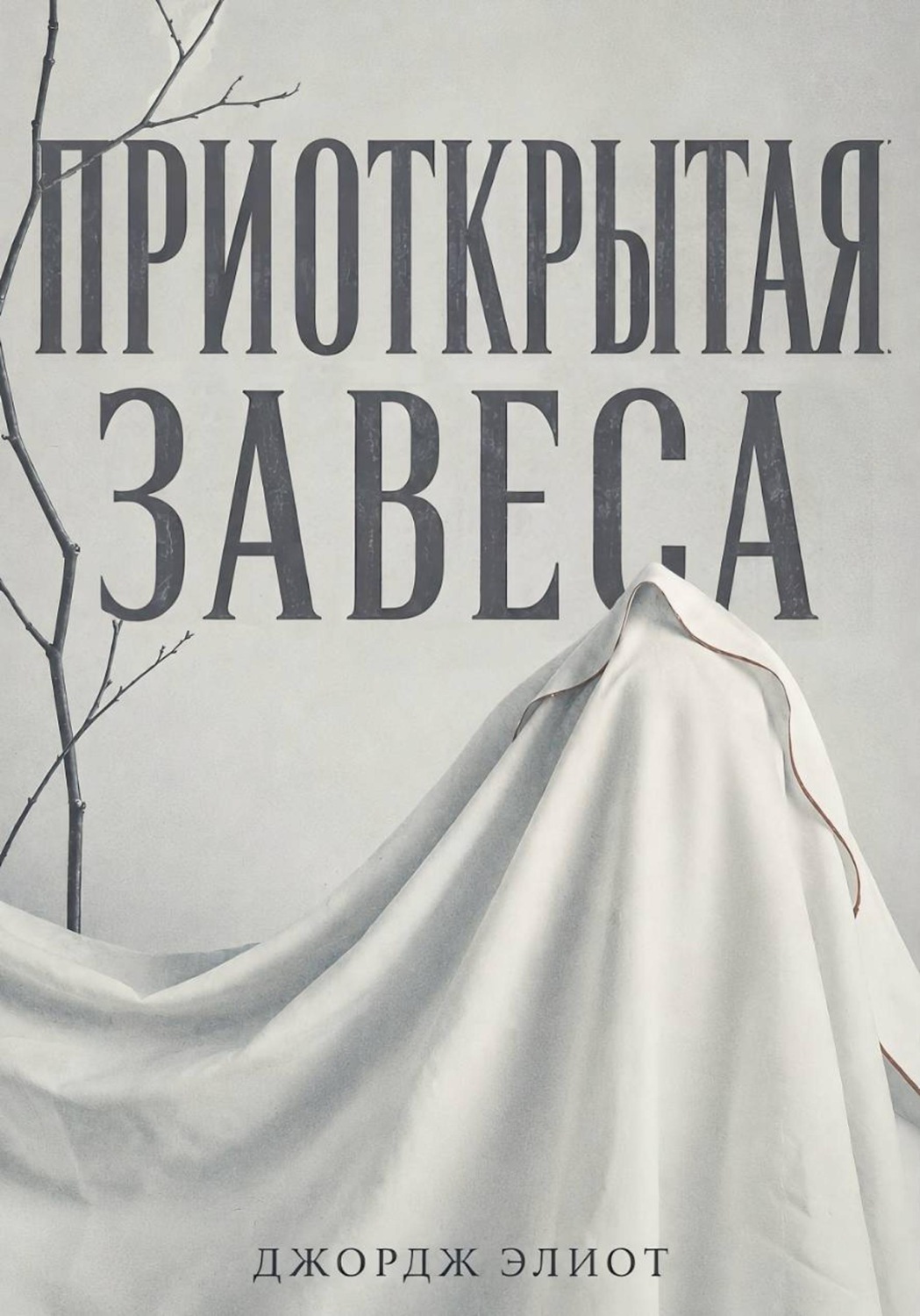 Обложка книги «Приоткрытая завеса»