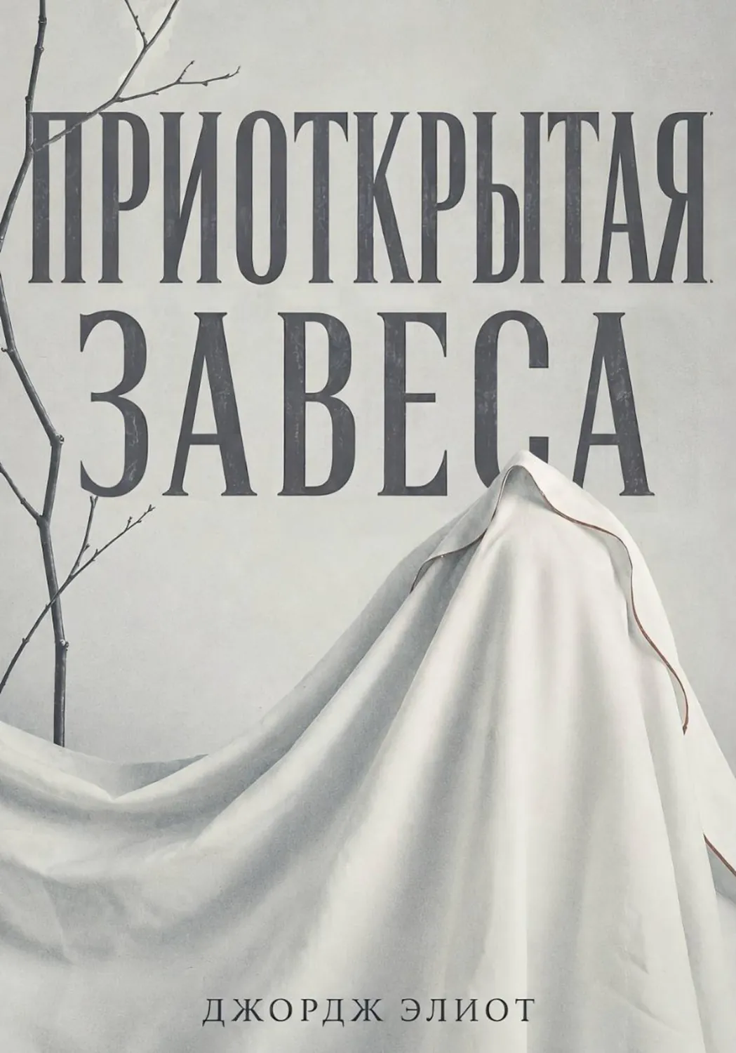 Приоткрытая завеса - Джордж Элиот