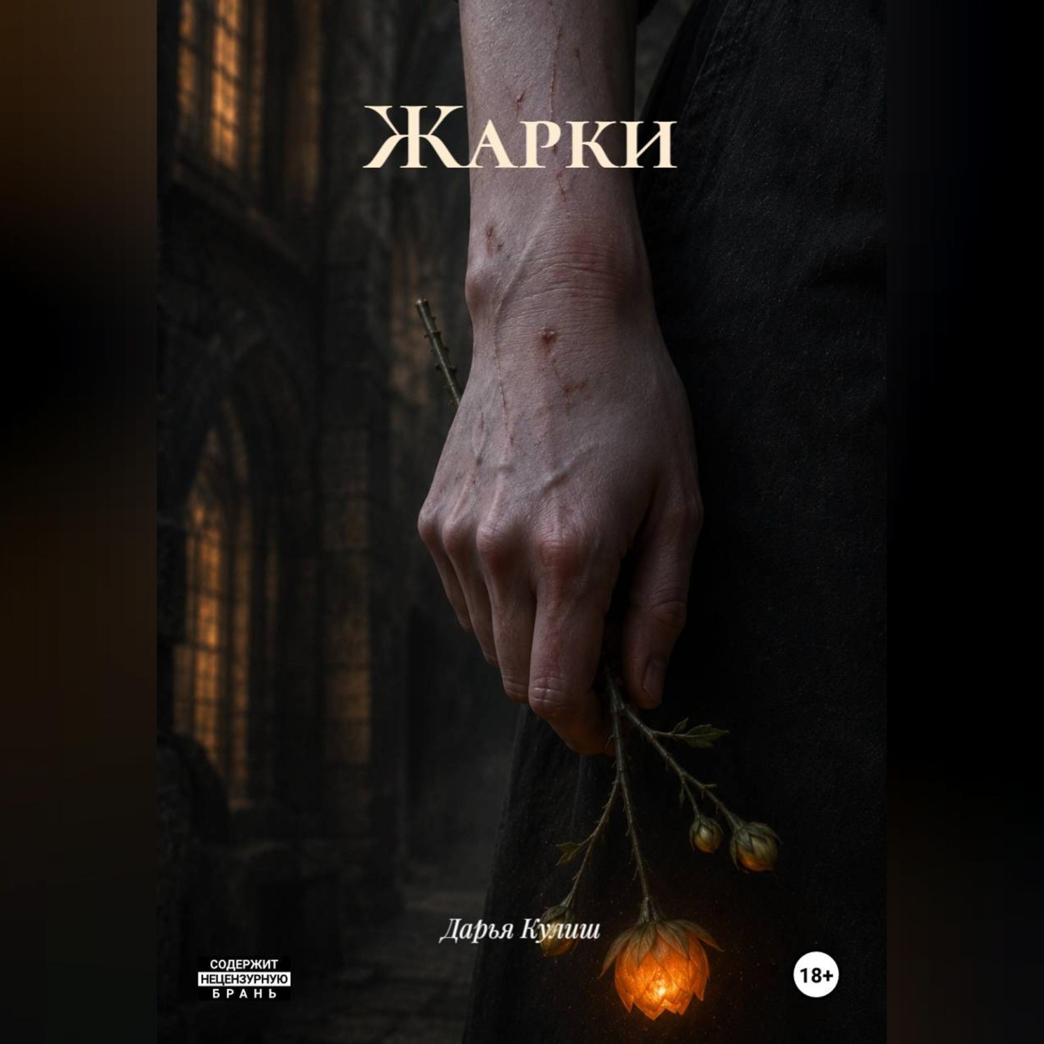 Обложка книги «Жарки»