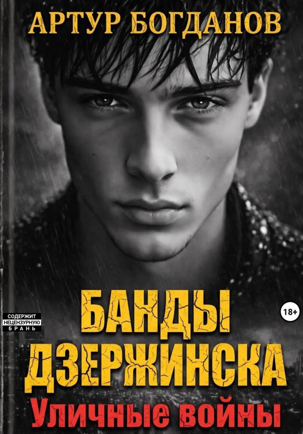Обложка книги «Банды Дзержинска. Уличные войны»