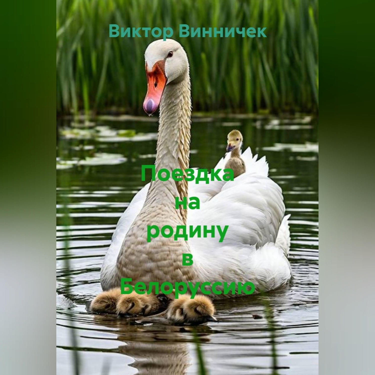 Обложка книги «Поездка на родину в Белоруссию»