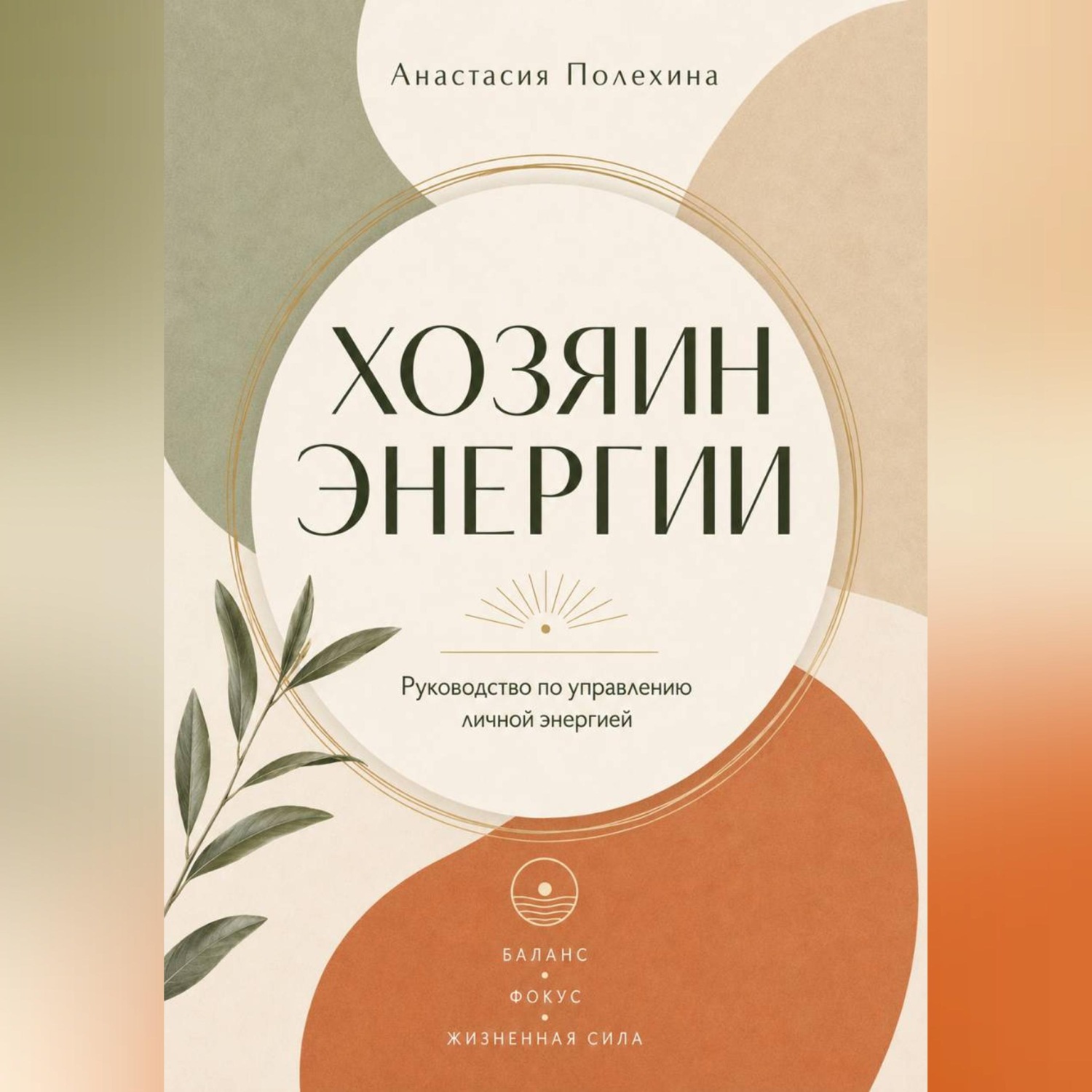 Обложка книги «Хозяин энергии»