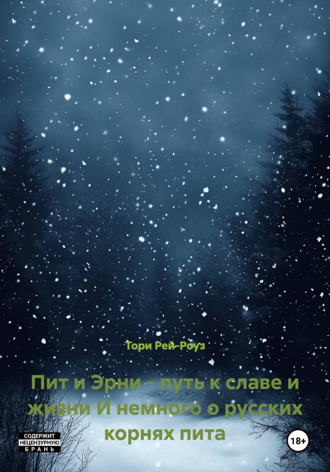 Обложка книги «Пит и Эрни - путь к славе и жизни И немного о русских корнях пита»