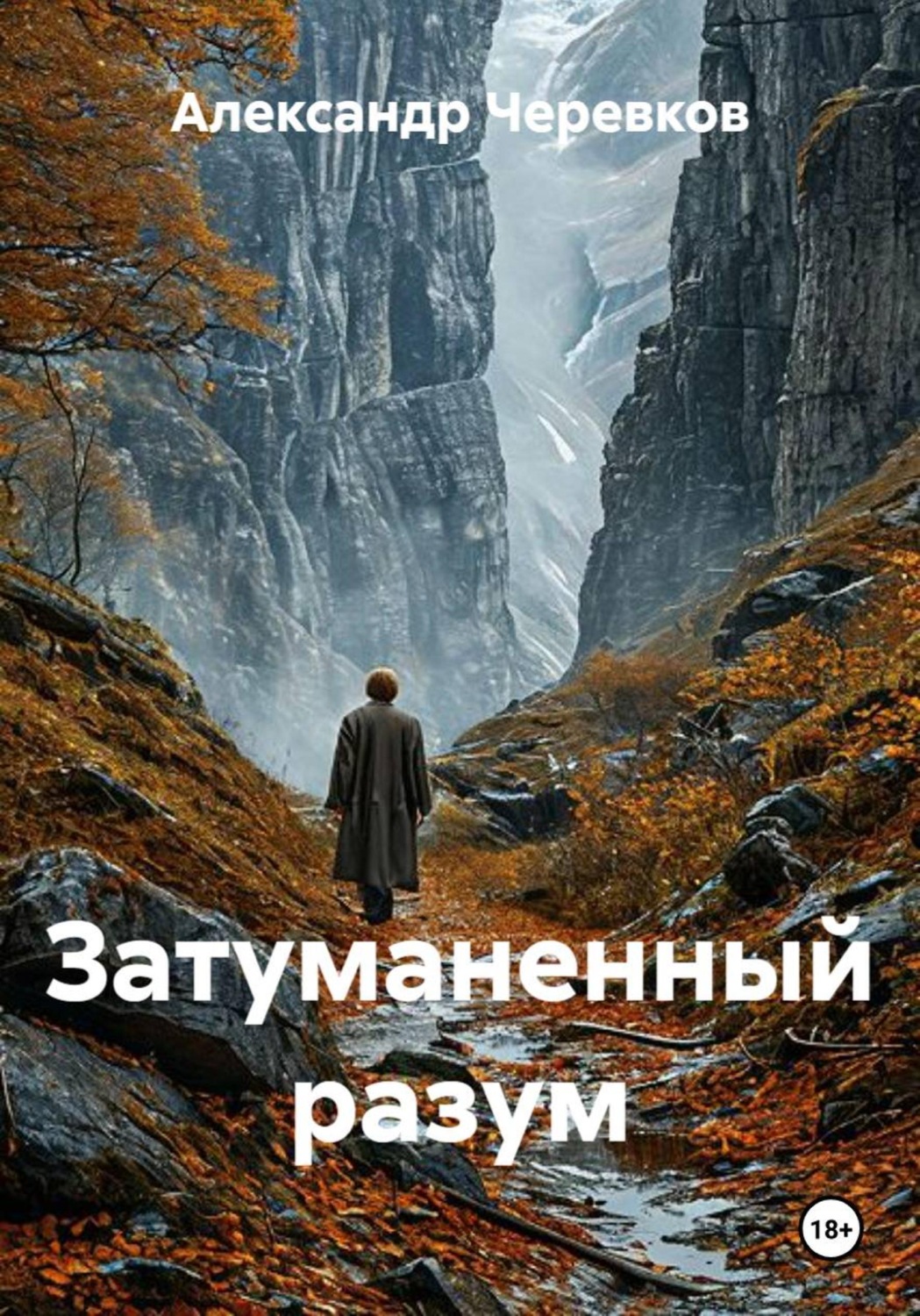 Обложка книги «Затуманенный разум»