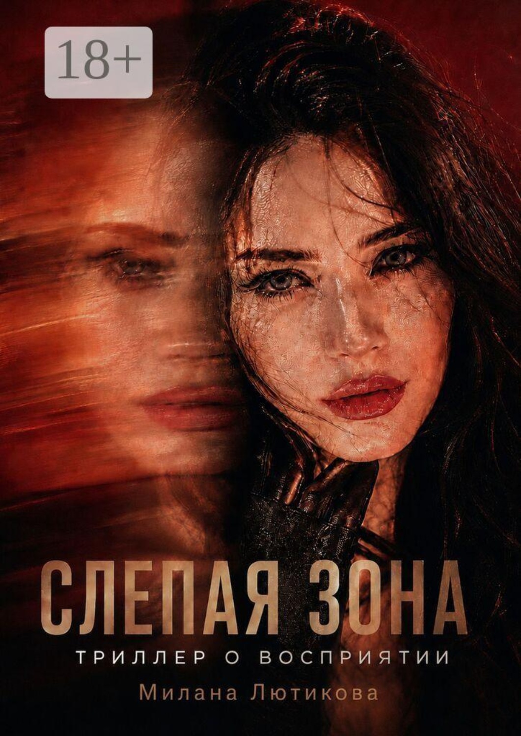 Обложка книги «Слепая Зона»