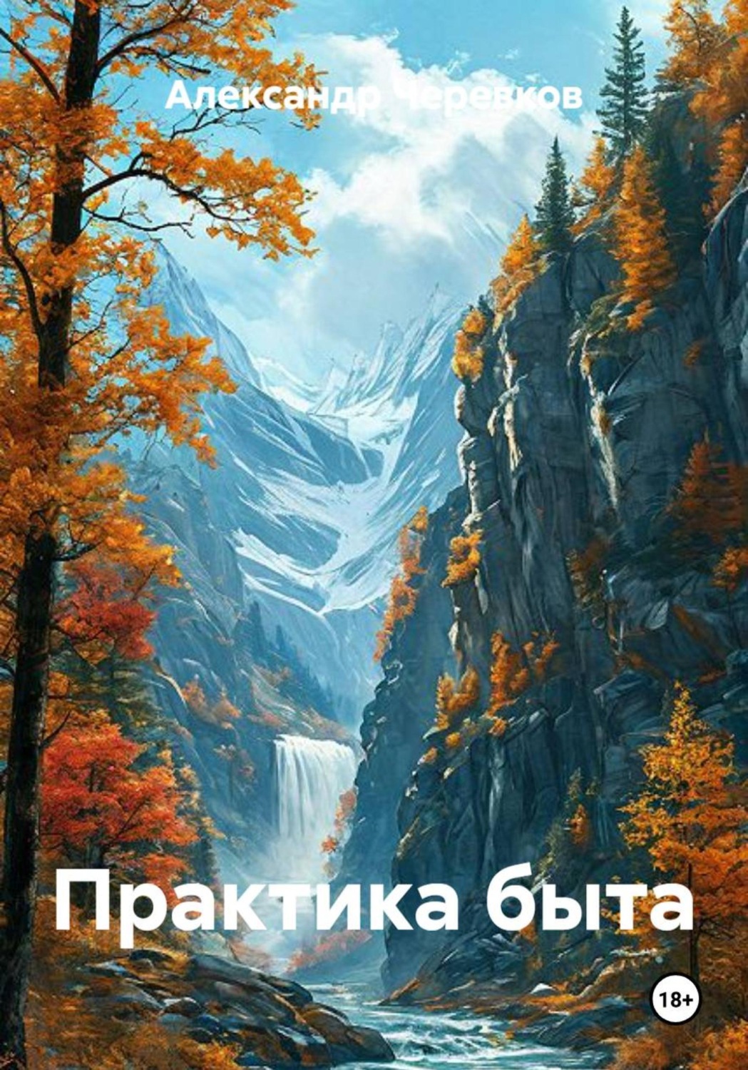 Обложка книги «Практика быта»