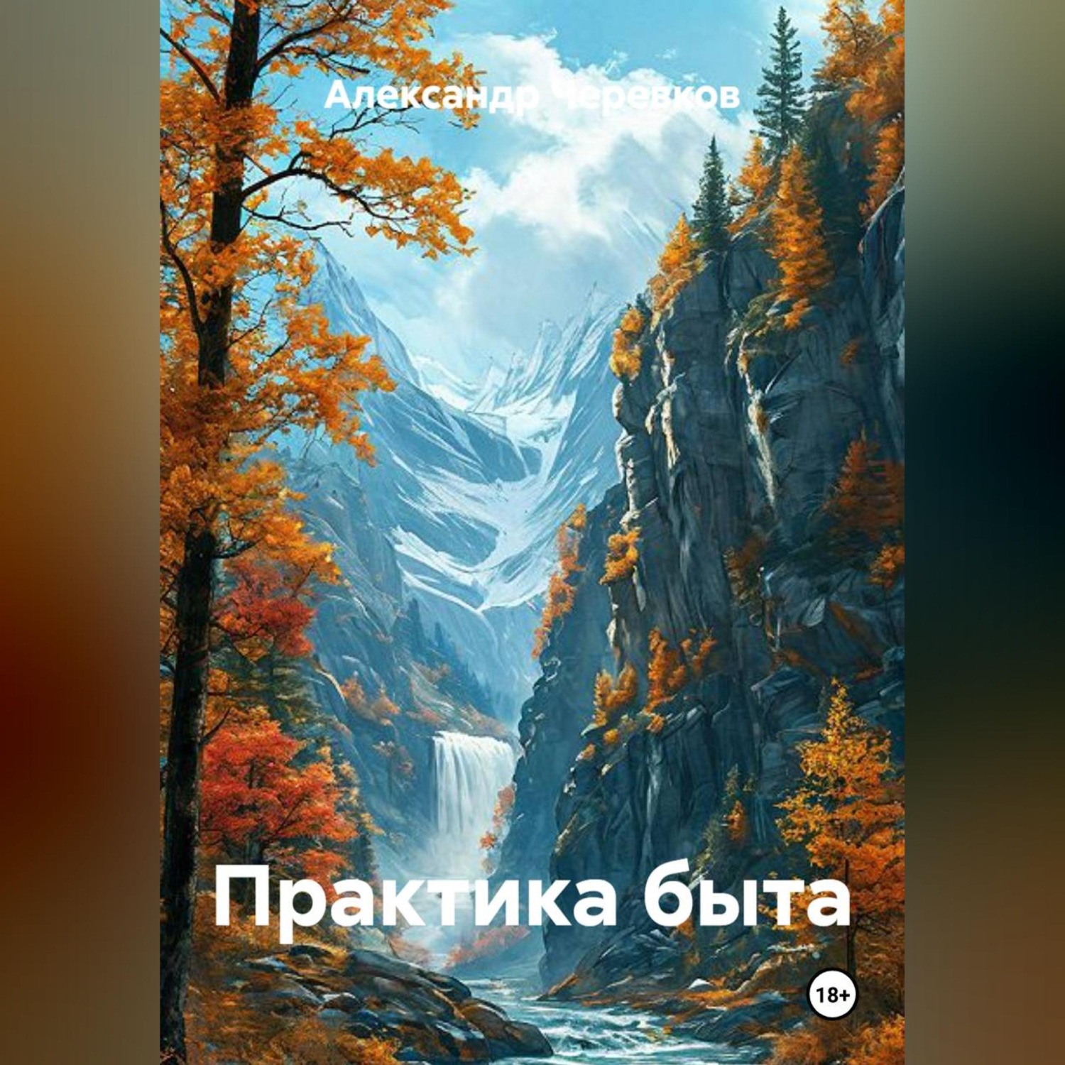 Обложка книги «Практика быта»