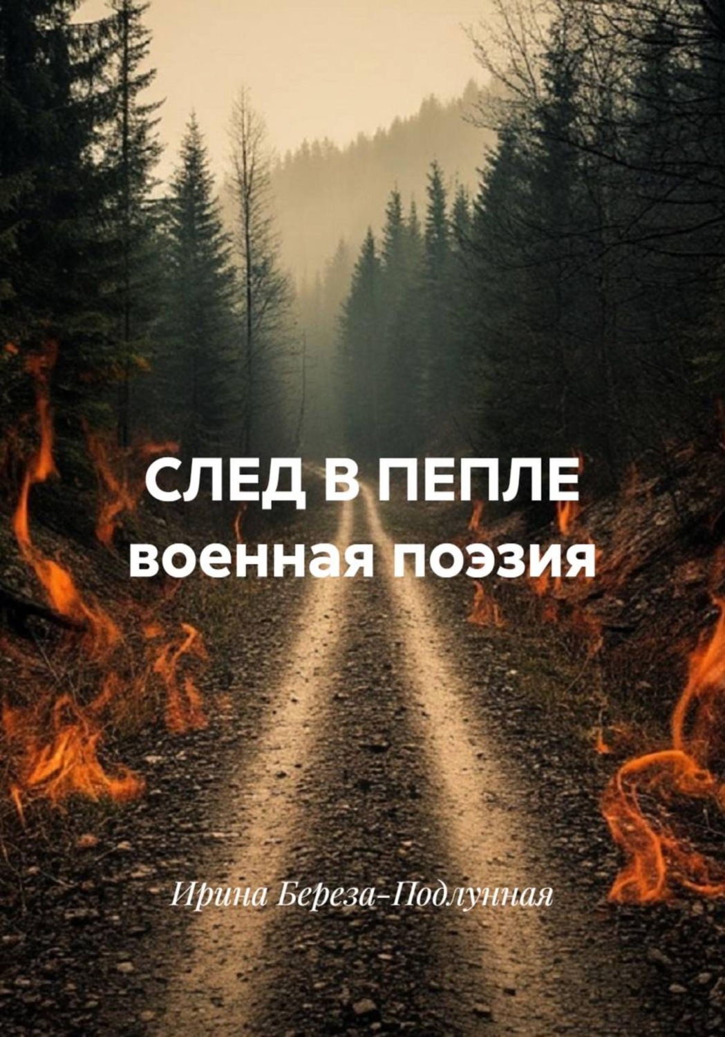 Обложка книги «СЛЕД В ПЕПЛЕ военная поэзия»
