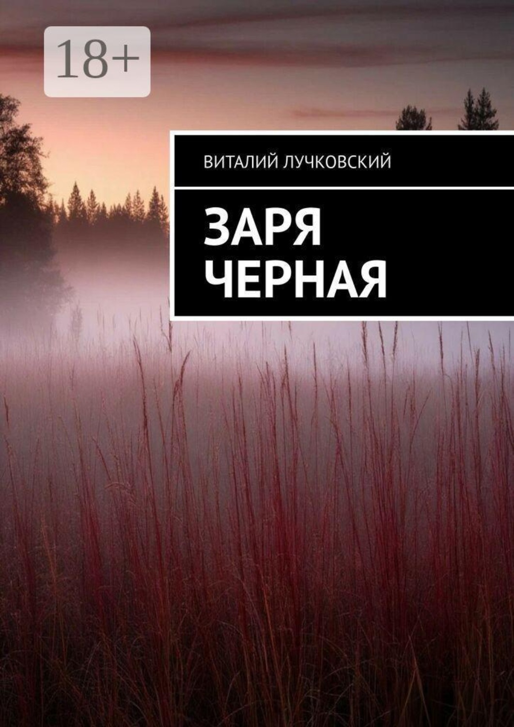 Обложка книги «Заря черная»