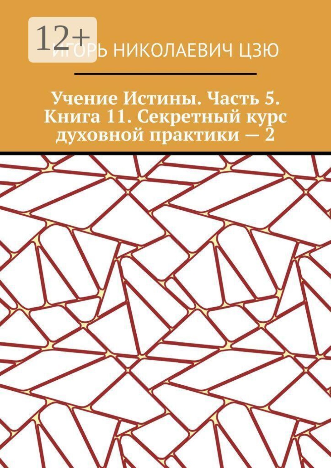 Обложка книги «Учение Истины. Часть 5. Книга 11. Секретный курс духовной практики — 2»