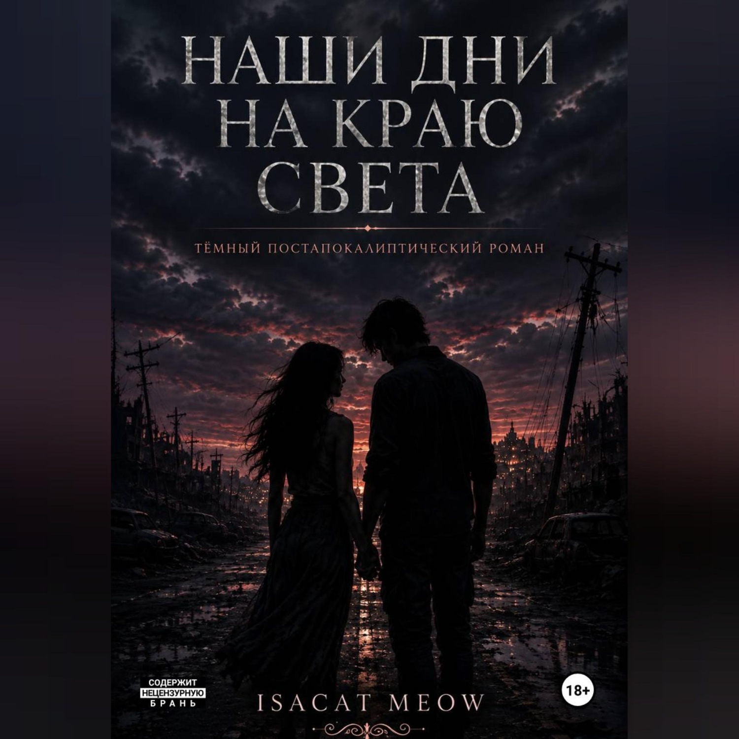Обложка книги «Наши дни на краю света»