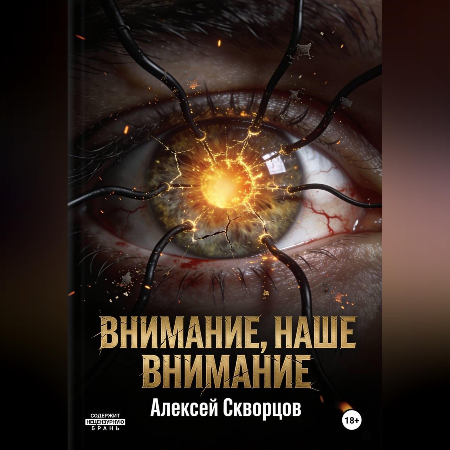 Обложка книги «Внимание, наше внимание»