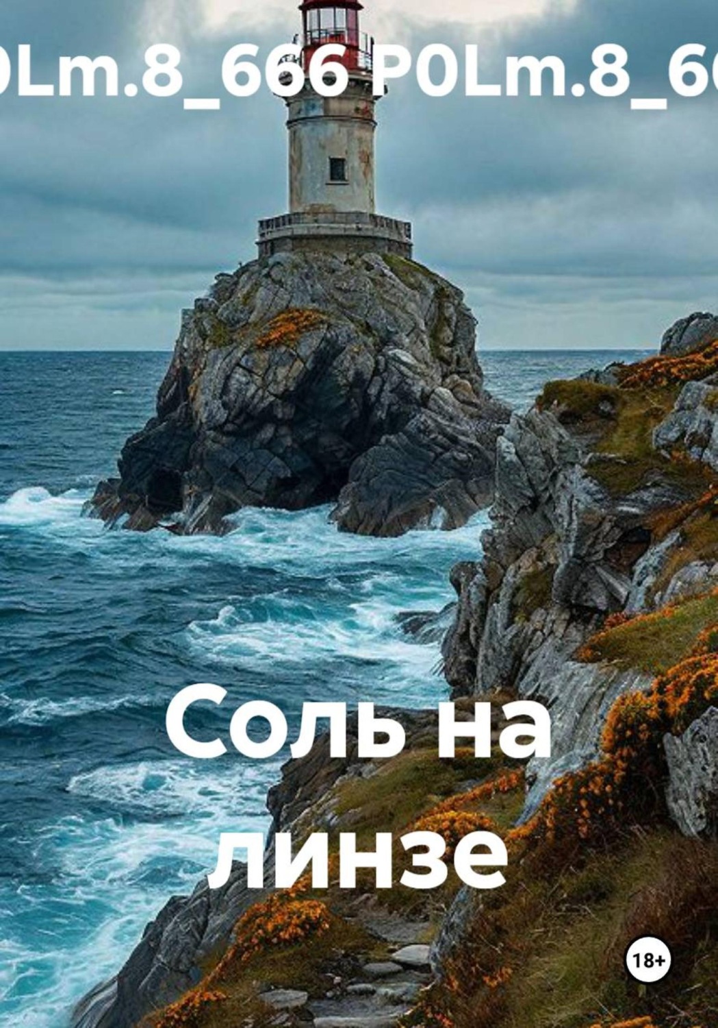 Обложка книги «Соль на линзе»