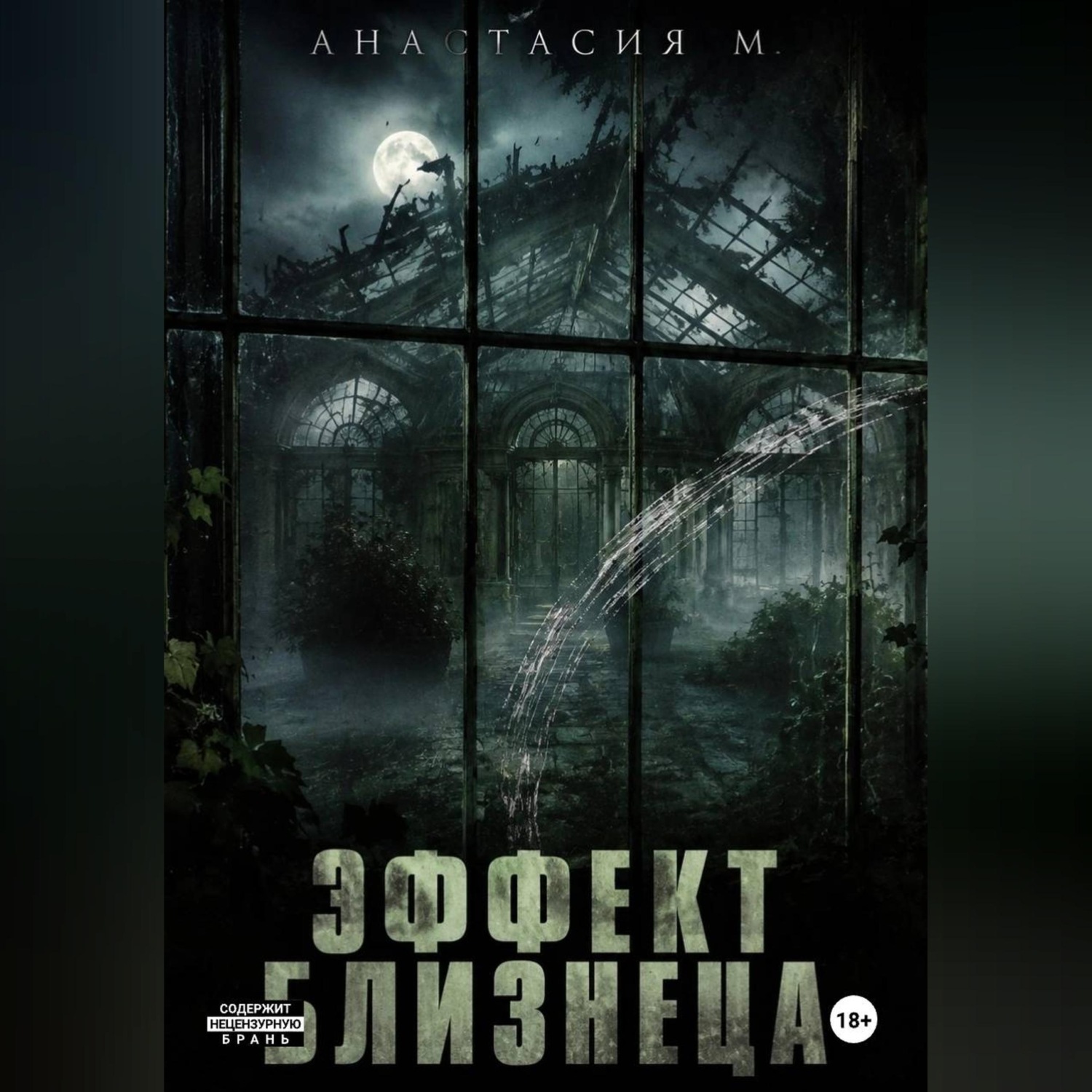 Обложка книги «Эффект близнеца»