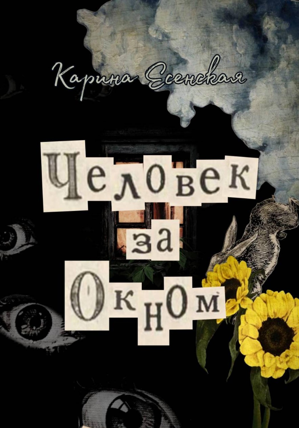 Обложка книги «Человек за окном»
