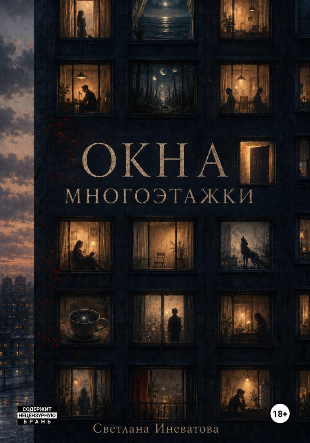 Обложка книги «Окна многоэтажки»