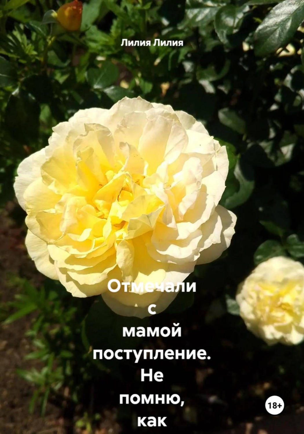 Обложка книги «Отмечали с мамой поступление. Не помню, как оказалась в кровати с дядькой... Забеременела от него»
