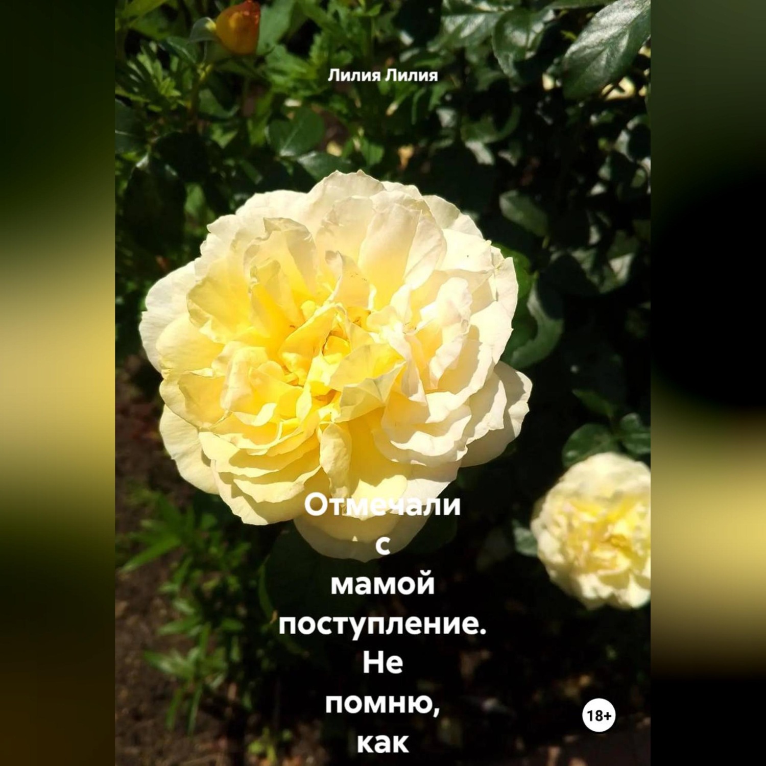 Обложка книги «Отмечали с мамой поступление. Не помню, как оказалась в кровати с дядькой... Забеременела от него»