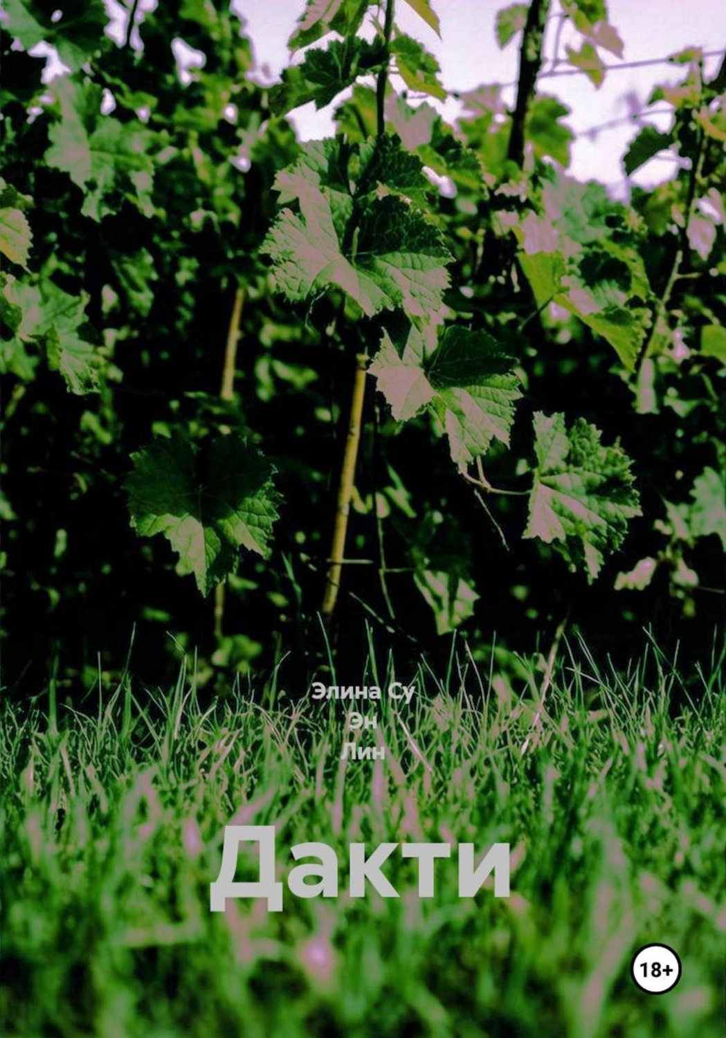 Обложка книги «Дакти»