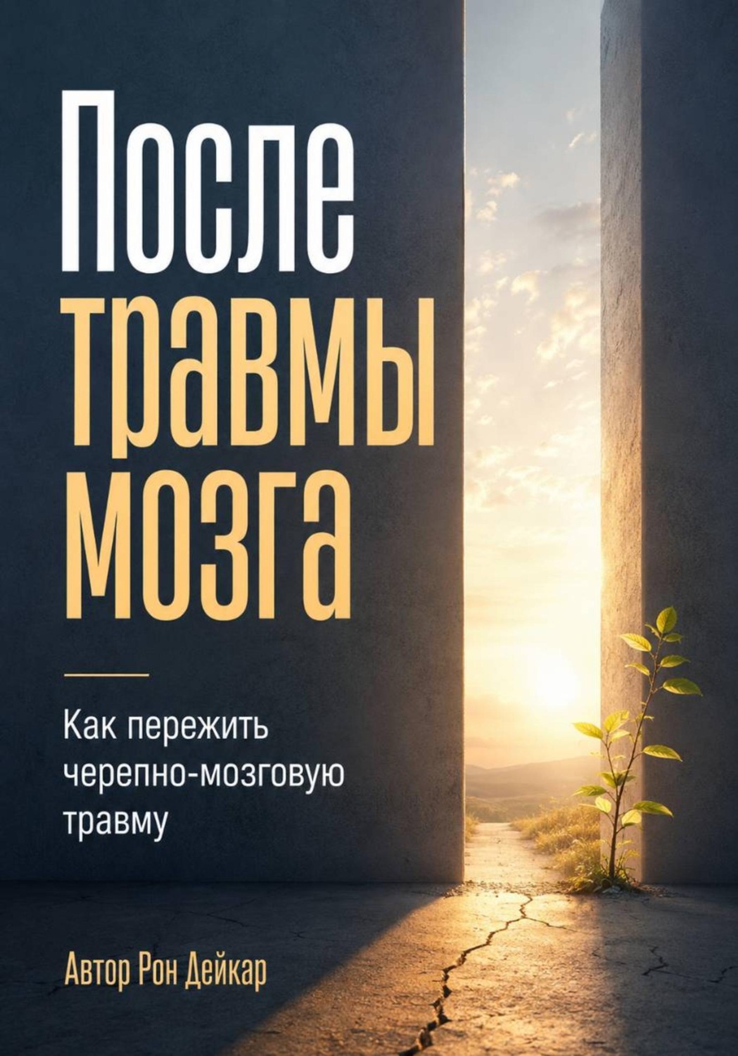 Обложка книги «После травмы мозга. Как пережить черепно-мозговую травму»