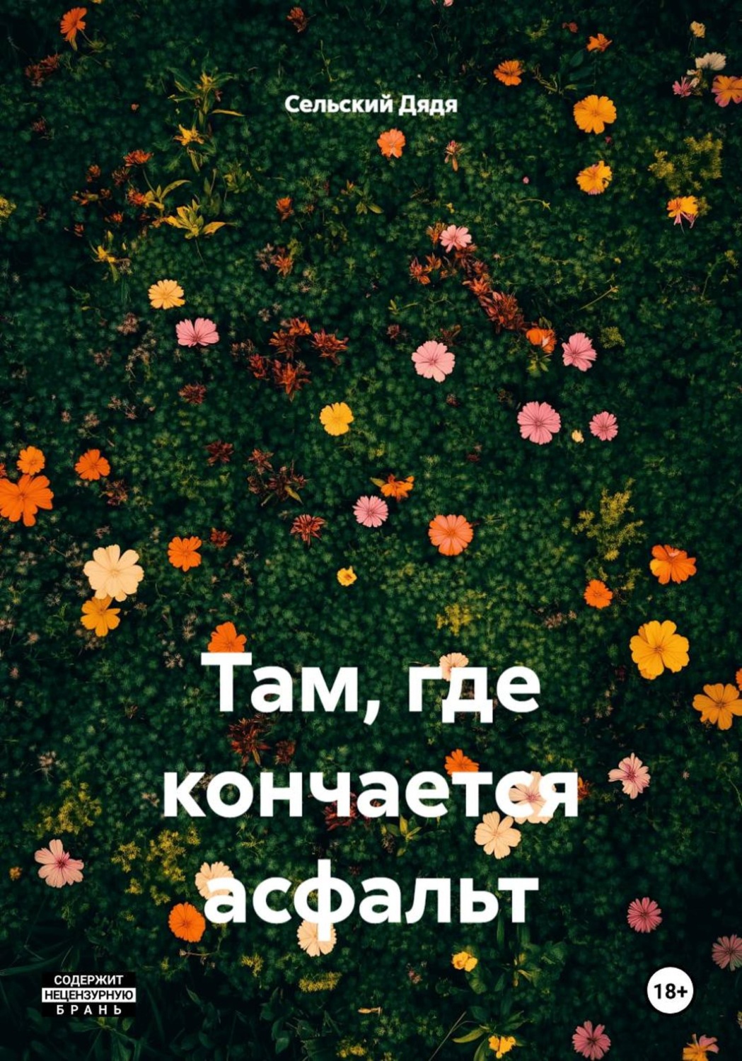 Обложка книги «Там, где кончается асфальт»