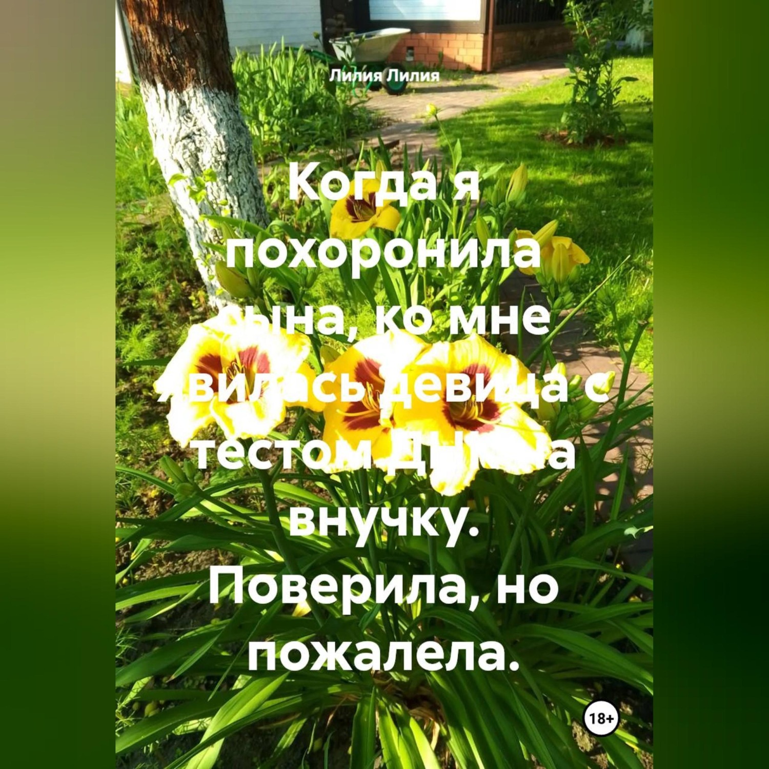 Обложка книги «Когда я похоронила сына, ко мне явилась девица с тестом ДНК на внучку. Поверила, но пожалела.»