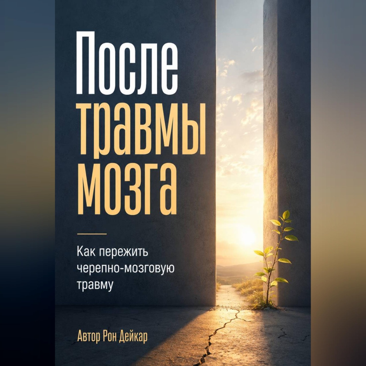 Обложка книги «После травмы мозга. Как пережить черепно-мозговую травму»