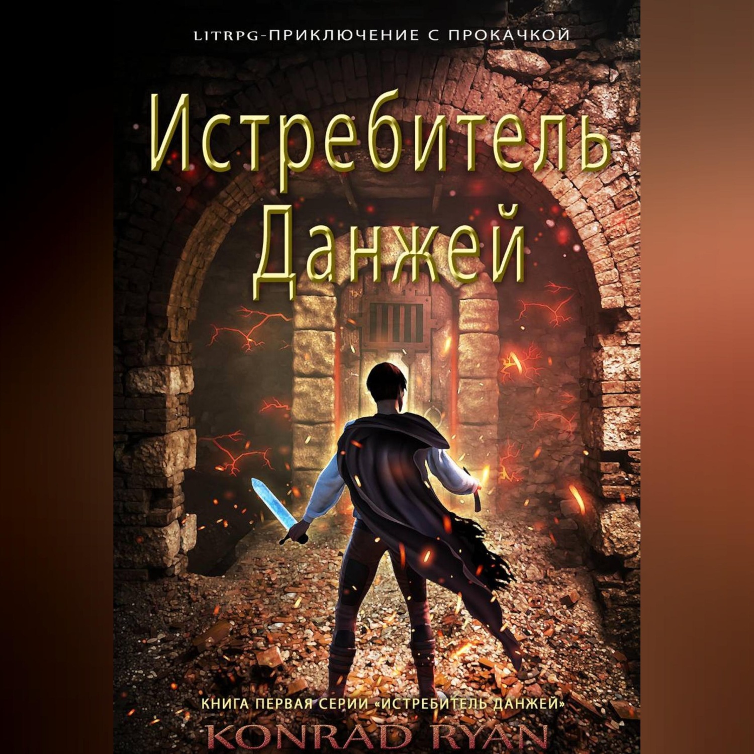 Обложка книги «Истребитель Данжей»