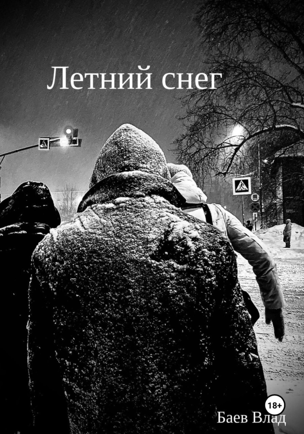 Обложка книги «Летний снег»