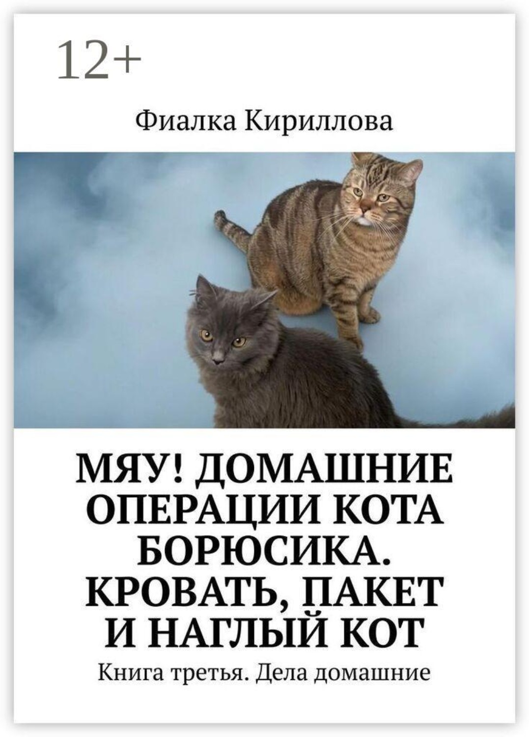 Обложка книги «Мяу! Домашние операции кота Борюсика. Кровать, пакет и наглый кот. Книга третья. Дела домашние»