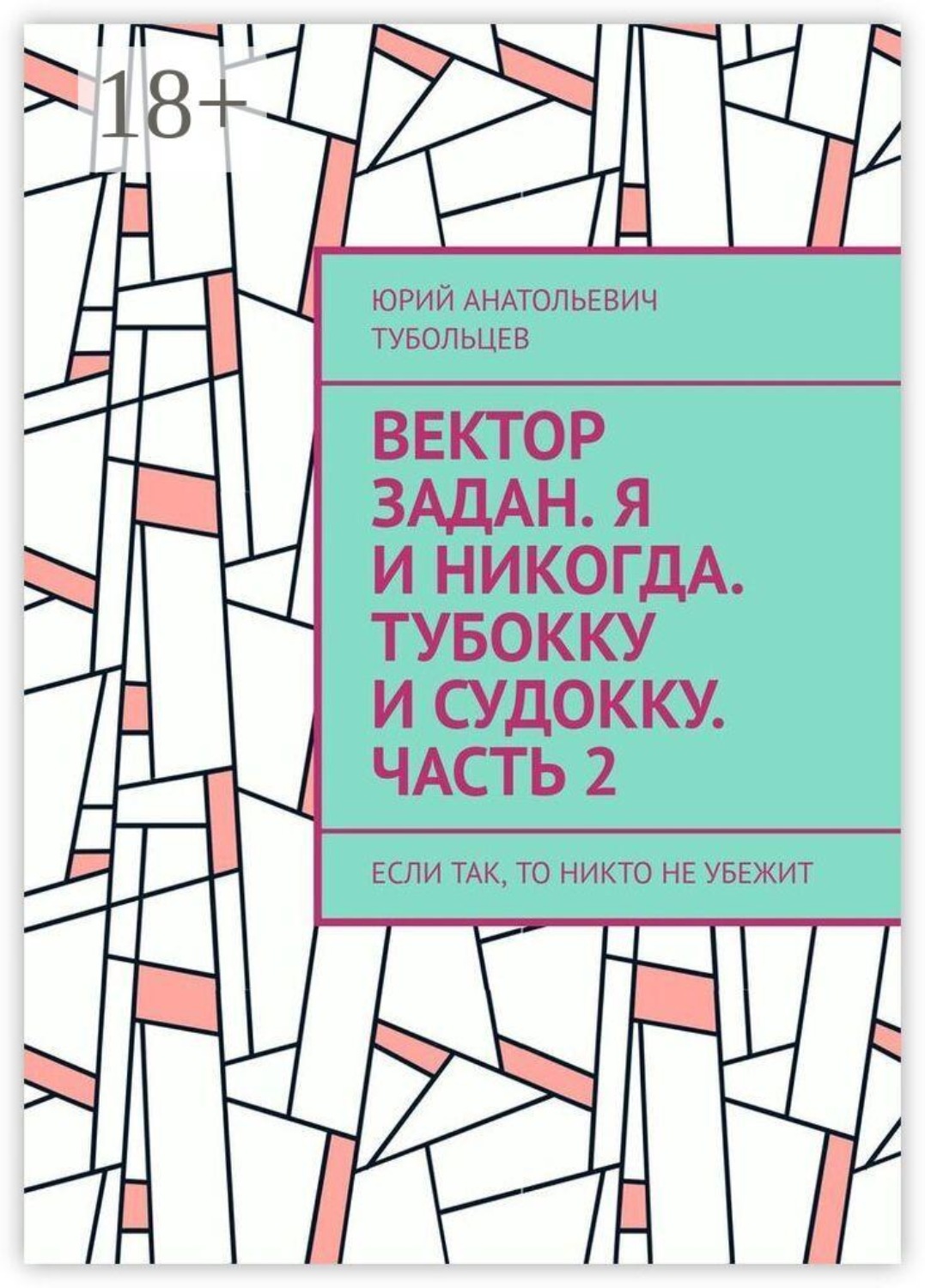 Обложка книги «Вектор задан. Я и никогда. Тубокку и судокку. Часть 2. Если так, то никто не убежит»