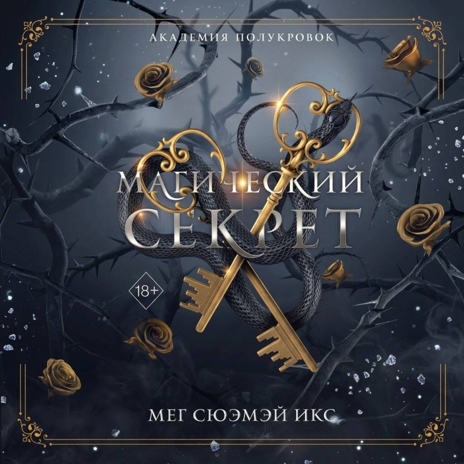 Обложка книги «Академия полукровок. Магический секрет»