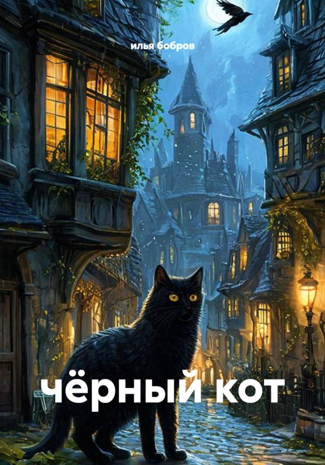 Обложка книги «чёрный кот»