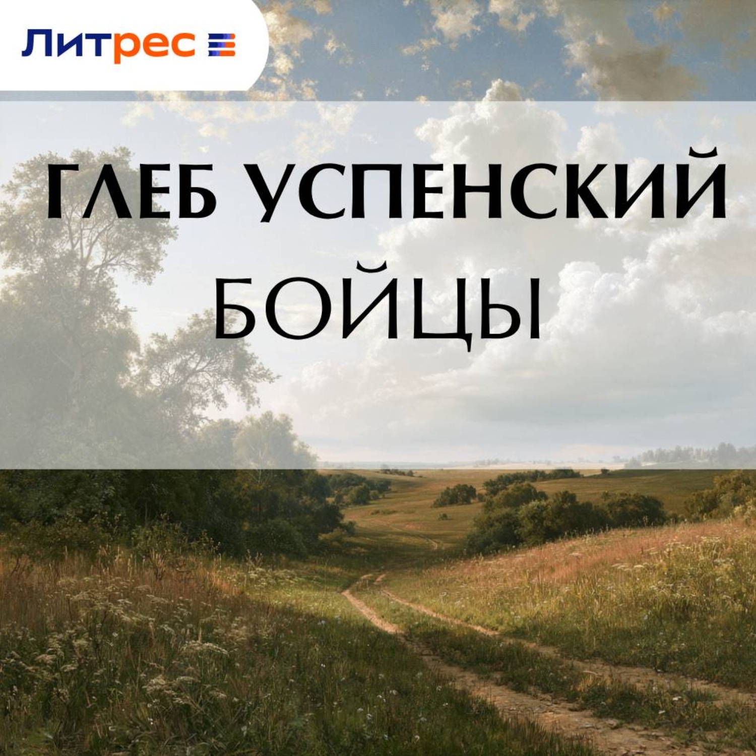 Обложка книги «Бойцы»