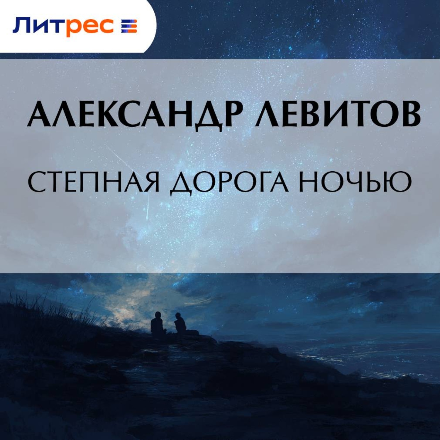 Обложка книги «Степная дорога ночью»